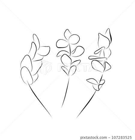 Continuous drawing. line art set of eucalyptus cineria sprigs Continuous drawing. line art set of eucalyptus cineria sprigs 107283525