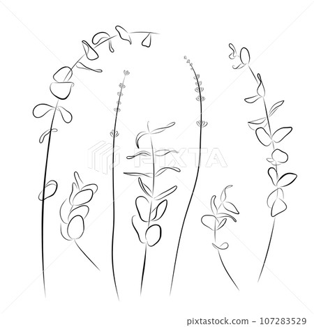 Continuous drawing. line art set of eucalyptus cineria sprigs Continuous drawing. line art set of eucalyptus cineria sprigs 107283529