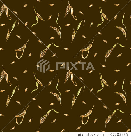 Wheat ear, barley watercolor seamless pattern on black background. Spikelet of rye, malt stalk hand drawn. Design element for textile, wrapping, packaging, label grocery, bakery, paper 107283585