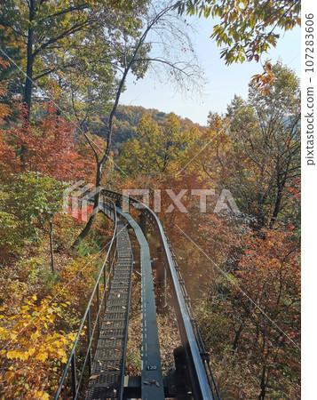 Hwadam Forest Botanic Garden small shuttle train car metal railway to Red Orange maple leaves trees in deep forest with beautiful colourful Autumn foliage trees scenery. Hwadam Forest Botanic Garden small shuttle train car metal railway to Red Orange maple leaves trees in deep forest with beautiful colourful Autumn foliage trees scenery. 107283606