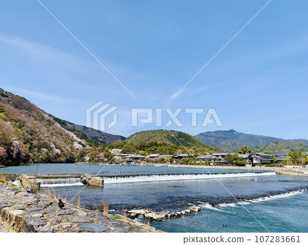 Arashiyama in Spring〈Arashiyama Park Nakanoshima District/Kyoto City, Kyoto Prefecture〉 Arashiyama in Spring〈Arashiyama Park Nakanoshima District/Kyoto City, Kyoto Prefecture〉 107283661