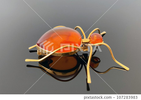 vintage brooch "Ant" with of amber and brass, made in USSR on dark glossy background vintage brooch "Ant" with of amber and brass, made in USSR on dark glossy background 107283983