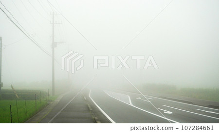 濃霧籠罩的道路（靜岡縣裾野市） 107284661