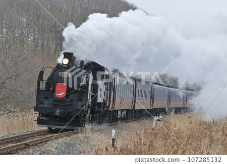 Senmo Main Line Toya-Kushiro Marsh C11-171 (Kushiro) SL Winter Marsh 107285132