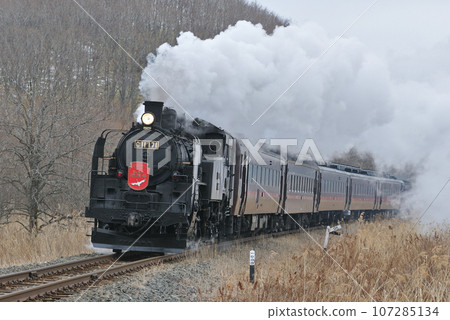 釧網本線 洞爺～釧路濕原 C11-171（釧路）SL 冬季濕原 107285134