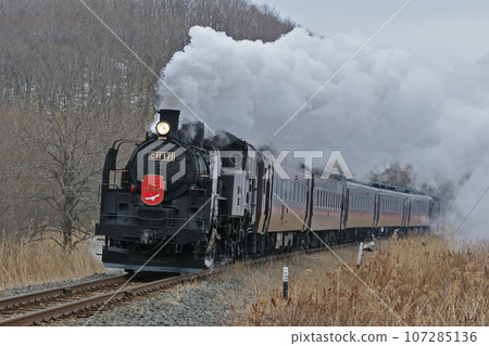 Senmo Main Line Toya-Kushiro Marsh C11-171 (Kushiro) SL Winter Marsh 107285136