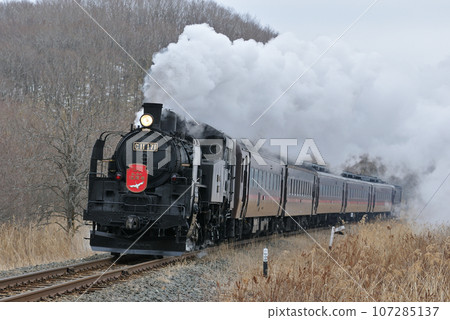 Senmo Main Line Toya-Kushiro Marsh C11-171 (Kushiro) SL Winter Marsh 107285137