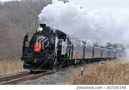 Senmo Main Line Toya-Kushiro Marsh C11-171 (Kushiro) SL Winter Marsh Senmo Main Line Toya-Kushiro Marsh C11-171 (Kushiro) SL Winter Marsh 107285140