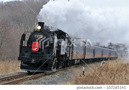 Senmo Main Line Toya-Kushiro Marsh C11-171 (Kushiro) SL Winter Marsh 107285141