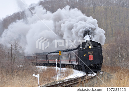 Senmo Main Line Hosooka-Kushiro Marsh C11-171 (Kushiro) SL Winter Marsh 107285223