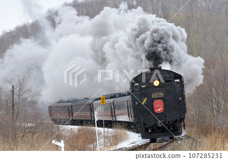 Senmo Main Line Hosooka-Kushiro Marsh C11-171 (Kushiro) SL Winter Marsh 107285231