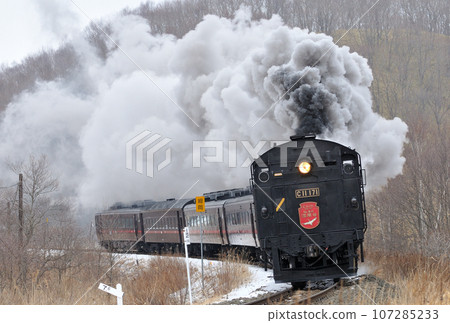 Senmo Main Line Hosooka-Kushiro Marsh C11-171 (Kushiro) SL Winter Marsh 107285233