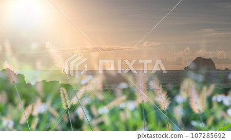 There are some foxtail grass growing on the hillside. 107285692