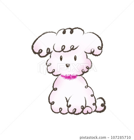 Illustration of a cute toy poodle Illustration of a cute toy poodle 107285710