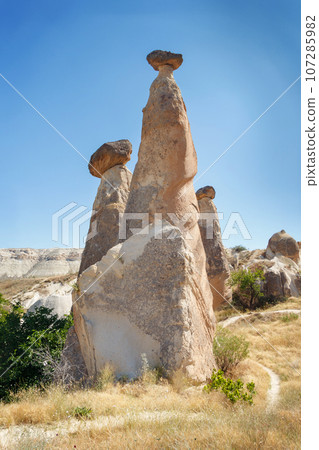 Unique geological rock formations Fairy Chimneys in Cappadocia. Popular touristic area in Turkey 107285982