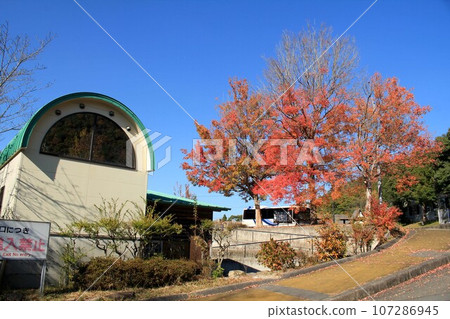 陶藝小鎮秋葉 107286945