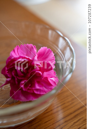 Carnation floating in water (on table) vertical position Carnation floating in water (on table) vertical position 107287239