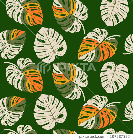 Monstera leaf seamless pattern, hand drawn botanical, spring and Summer time, green style, natural ornaments for textile, fabric, wallpaper, background. Monstera leaf seamless pattern, hand drawn botanical, spring and Summer time, green style, natural ornaments for textile, fabric, wallpaper, background. 107287523