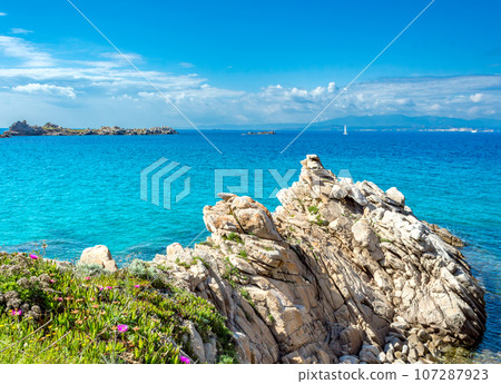 Rena Bianca, the Beach of Santa Teresa, North Sardinia, Italy 107287923