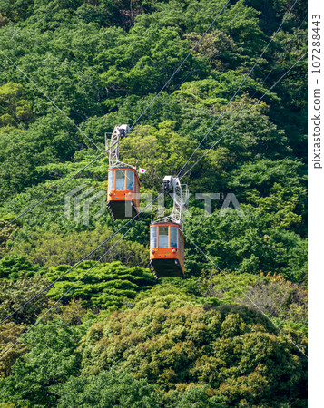 索道來來往往 107288443