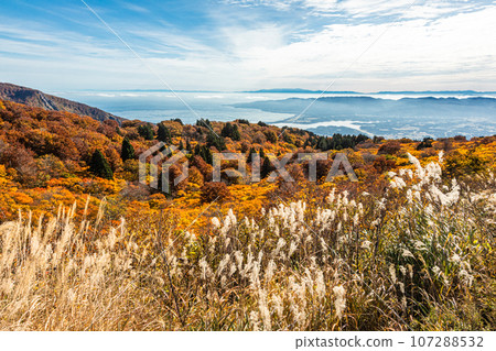 [新潟縣/佐渡/紅葉]讓我們一邊觀賞紅葉一邊眺望新潟縣 107288532