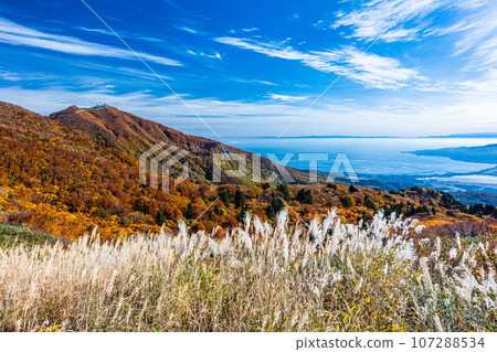 [Niigata Prefecture/Sado/Autumn leaves] Let's overlook Niigata Prefecture while watching the autumn leaves October 107288534