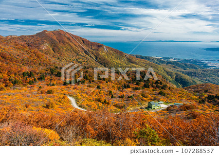 [Niigata Prefecture/Sado/Autumn leaves] Let's overlook Niigata Prefecture while watching the autumn leaves October 107288537