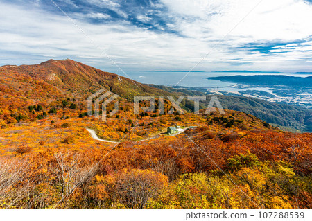 [Niigata Prefecture/Sado/Autumn leaves] Let's overlook Niigata Prefecture while watching the autumn leaves October 107288539
