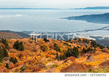 [新潟縣/佐渡/紅葉]讓我們一邊觀賞紅葉一邊眺望新潟縣 107288542