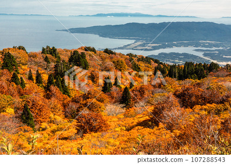[新潟縣/佐渡/紅葉]讓我們一邊觀賞紅葉一邊眺望新潟縣 107288543