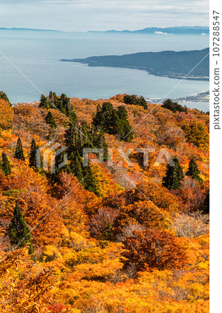 [Niigata Prefecture/Sado/Autumn leaves] Let's overlook Niigata Prefecture while watching the autumn leaves October 107288547