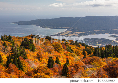 [Niigata Prefecture/Sado/Autumn leaves] Let's overlook Sado Island while watching the autumn leaves October 107288662