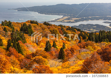 [Niigata Prefecture/Sado/Autumn leaves] Let's overlook Sado Island while watching the autumn leaves October 107288663
