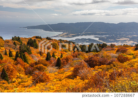 [Niigata Prefecture/Sado/Autumn leaves] Let's overlook Sado Island while watching the autumn leaves October 107288667