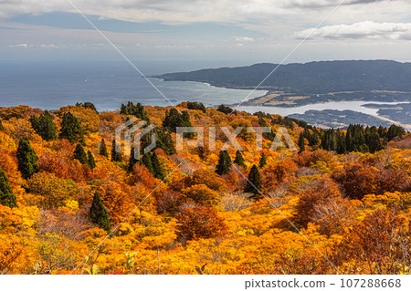 [Niigata Prefecture/Sado/Autumn leaves] Let's overlook Sado Island while watching the autumn leaves October 107288668