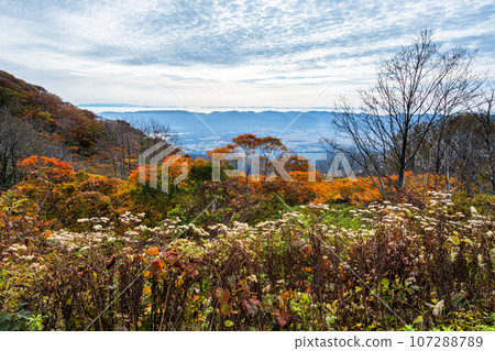 [新潟縣/佐渡/紅葉]讓我們一邊欣賞紅葉一邊眺望佐渡吧 107288789