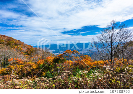 [Niigata Prefecture/Sado/Autumn leaves] Let's overlook Sado while looking at the autumn leaves October 107288793