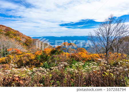 [新潟縣/佐渡/紅葉]讓我們一邊欣賞紅葉一邊眺望佐渡吧 107288794