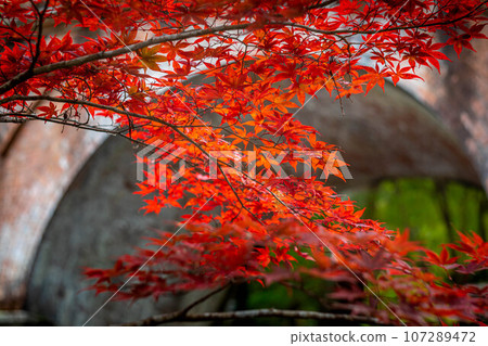 南禪寺、南禪寺境內的秋天,鮮紅的秋葉和水樓閣 南禪寺、南禪寺境內的秋天,鮮紅的秋葉和水樓閣 107289472