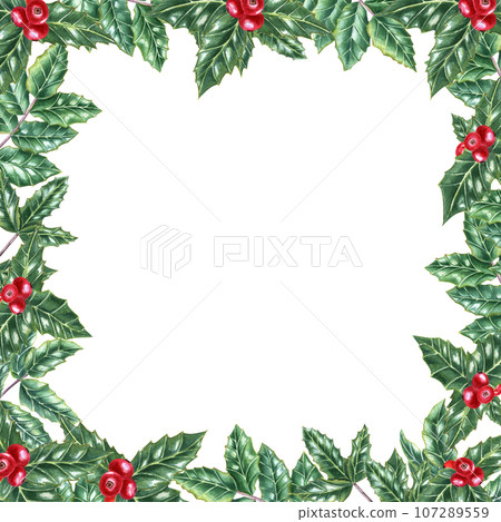 Frame of Green ilex leaves with bunch of red berries. Holly leaves, evergreen shrub. Winter natural decoration. Watercolor illustration for Christmas, New Year cards Frame of Green ilex leaves with bunch of red berries. Holly leaves, evergreen shrub. Winter natural decoration. Watercolor illustration for Christmas, New Year cards 107289559