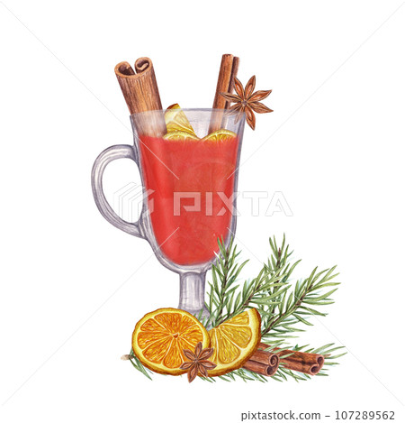 Winter beverage, Christmas Spices. Hot spicy punch. Spruce branch, dried orange slices. Mulled red wine with cinnamon sticks, star anise, orange. Watercolor illustration 107289562