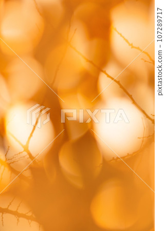 Blurred motion bokeh holiday glitter background 107289717