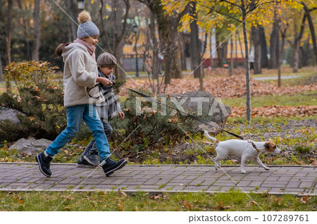 Brother and sister walk the dog in the park in autumn. Boy and girl running with jack russell terrier on a leash.  107289761
