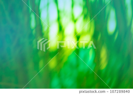 Greenery green blurry unfocused photographic art effect Greenery green blurry unfocused photographic art effect 107289840