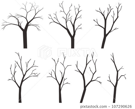 各種落葉的樹木 107290626