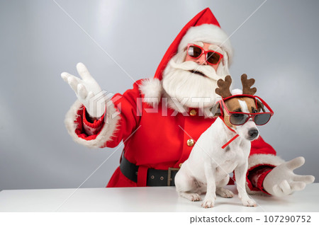 Portrait of santa claus in sunglasses and dog jack russell terrier in rudolf reindeer ears on a white background. Portrait of santa claus in sunglasses and dog jack russell terrier in rudolf reindeer ears on a white background. 107290752