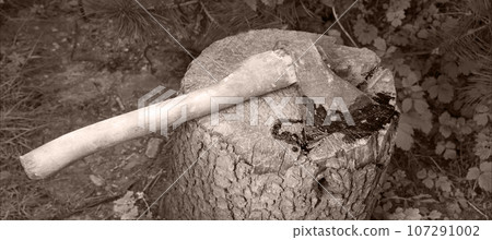 A bloody ax lies on a stump A bloody ax lies on a stump 107291002