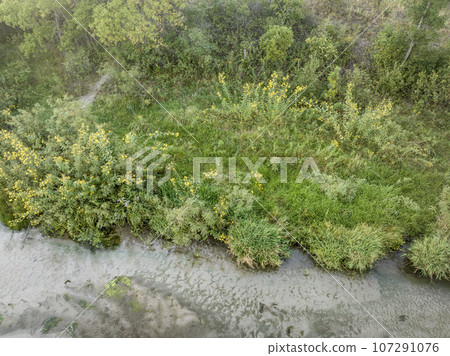 shore of shallow and sandy Dismal River with wildflowers, late summer aerial view 107291076