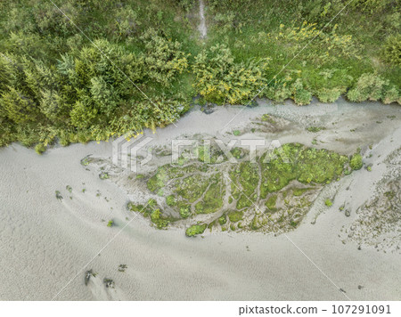 shore of shallow and sandy Dismal River with wildflowers, late summer aerial view shore of shallow and sandy Dismal River with wildflowers, late summer aerial view 107291091