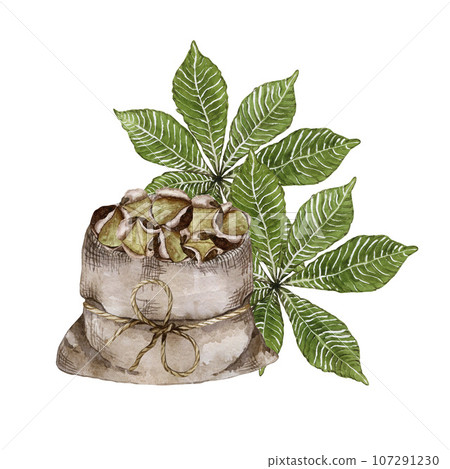 Delicious roasted chestnuts. Canvas Pouch tied with twine. Chestnut leaves. watercolor illustration 107291230
